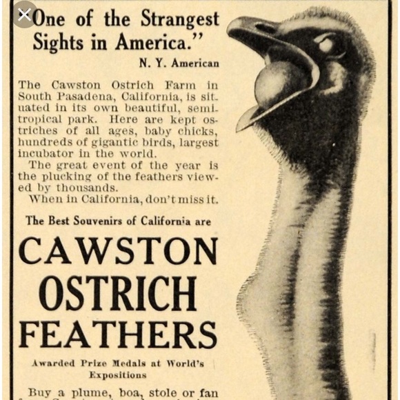 Vintage Rare Silver Ostrich Farm Nameplate Pendant - Picture 7 of 7